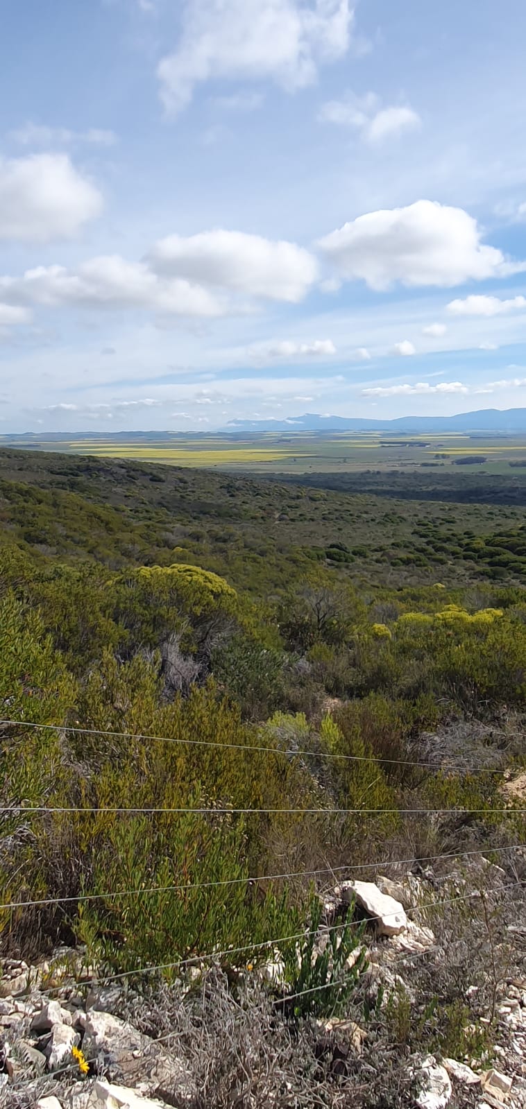  Bedroom Property for Sale in Riversdale Rural Western Cape